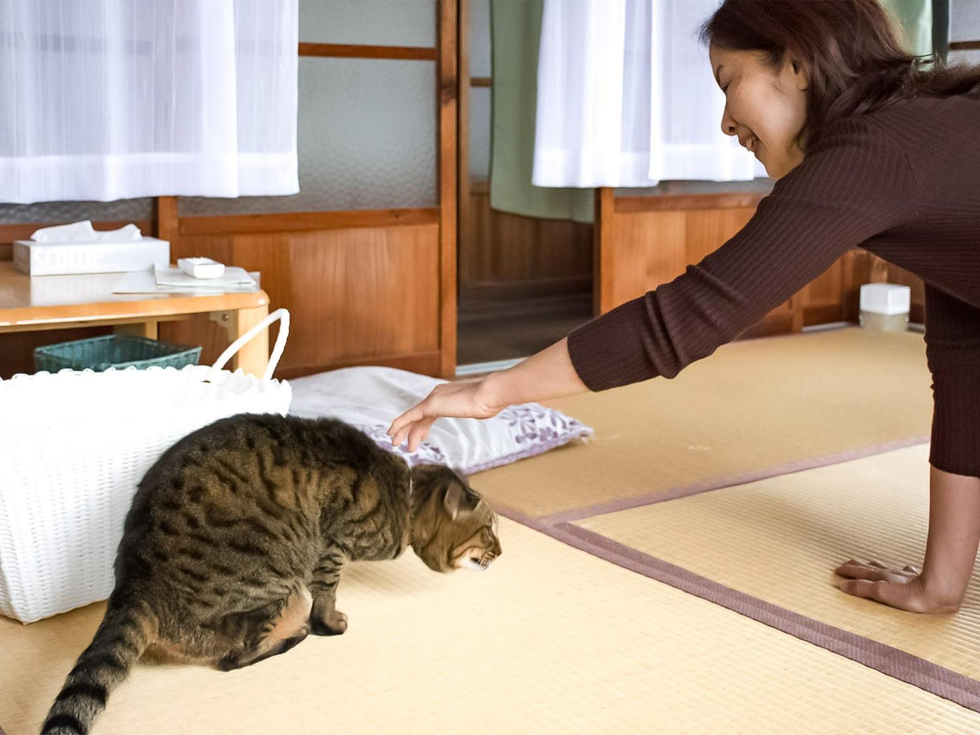 Guest Cafe Kuchikumano Hotel Kamitondacho Eksteriør billede