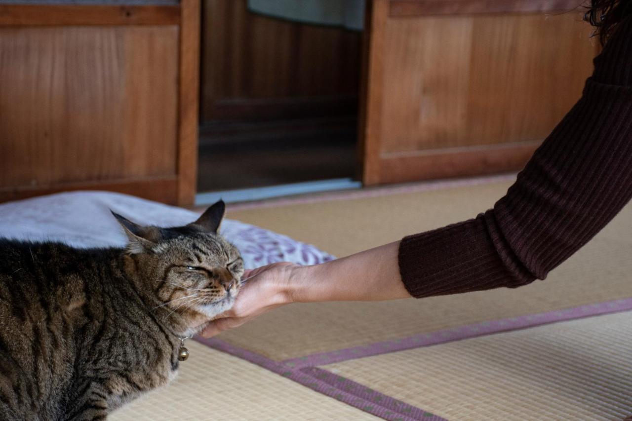 Guest Cafe Kuchikumano Hotel Kamitondacho Eksteriør billede